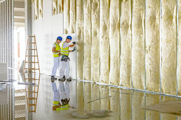 Trusted Elwood, IL Insulation Contractor Experts